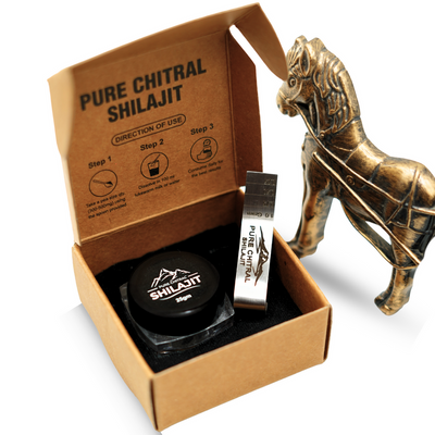 Shilajit (سلاجيت) Resin 𝟏𝟎𝐠 | 100% Pure & Lab-Tested (T)